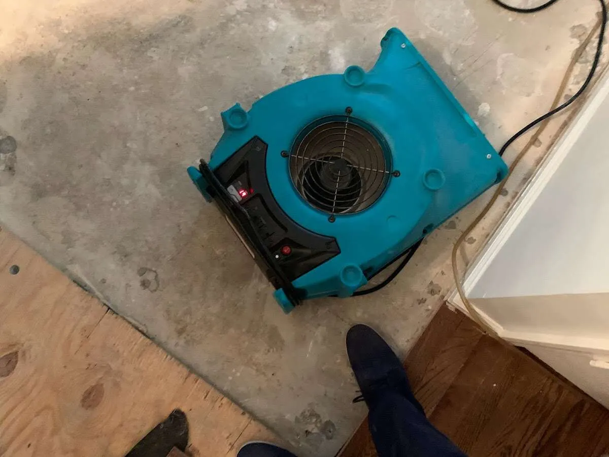 Air mover drying subfloor during Leak Detection & Repair in Hamburg